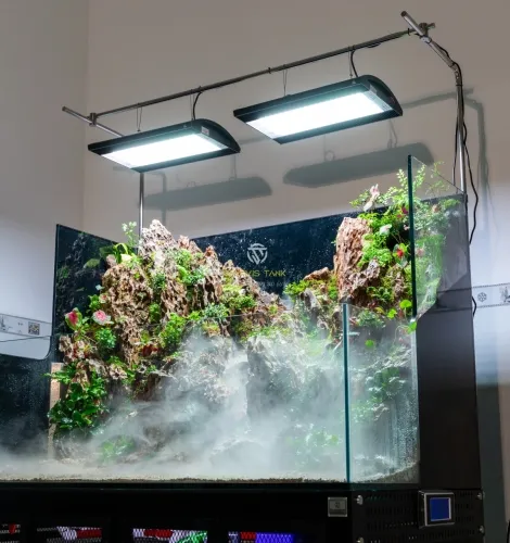 Hồ Cá Công Nghệ Cao Cấp - Nâng Tầm Đẳng Cấp Cùng Jarvis Tank
