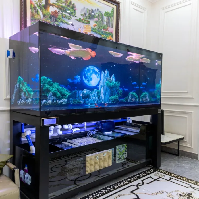 Hồ Cá Tân An - Long An